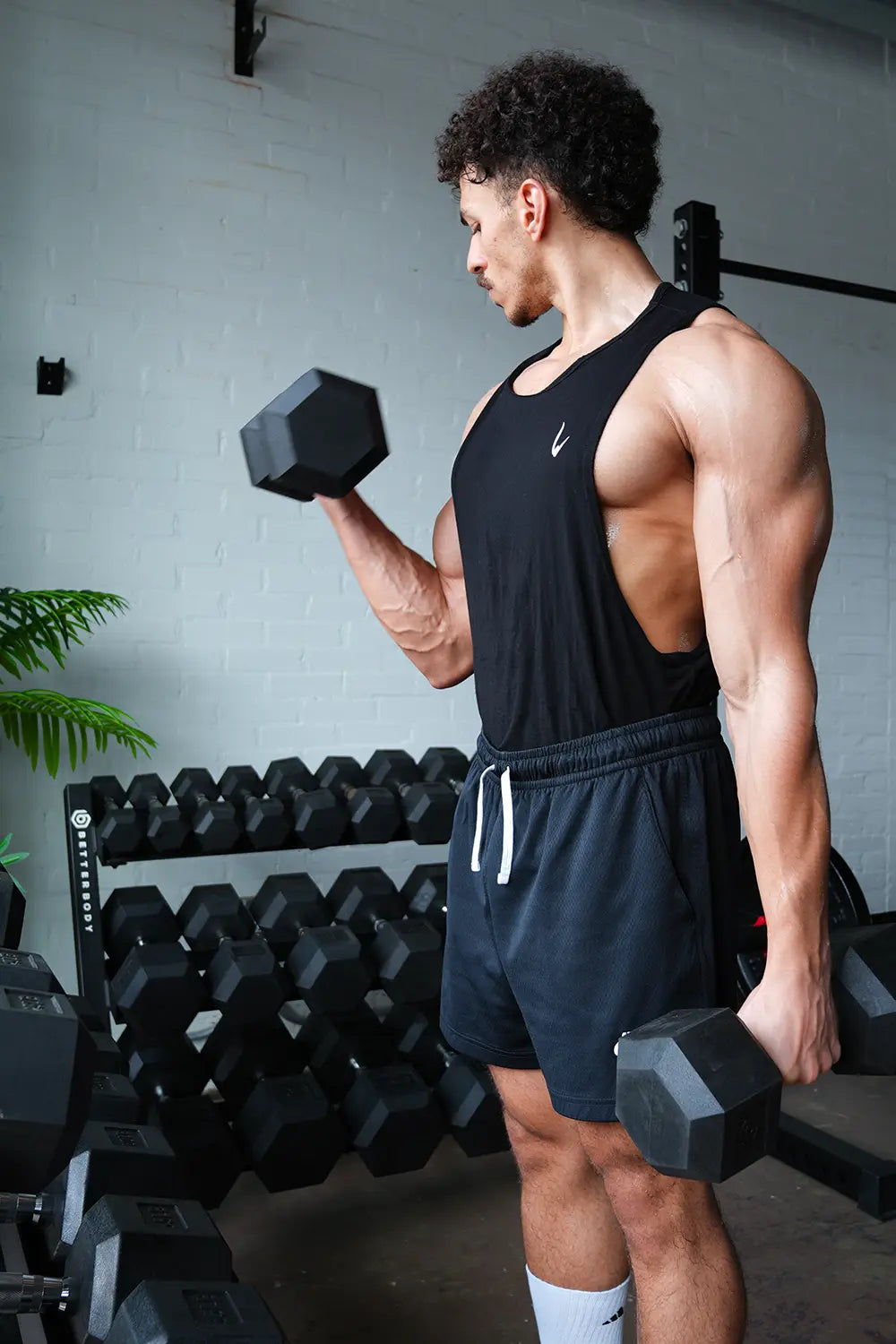 Hex Dumbbell Sets