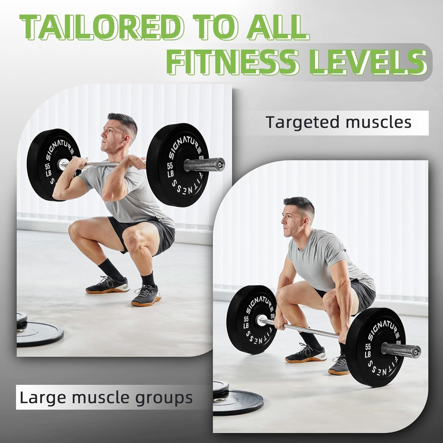 Olympic Bumper Plates Set, 2" Weight Plates for Strength Training & Weightlifting, Paris or Set or Set with Barbell, Multiple Options