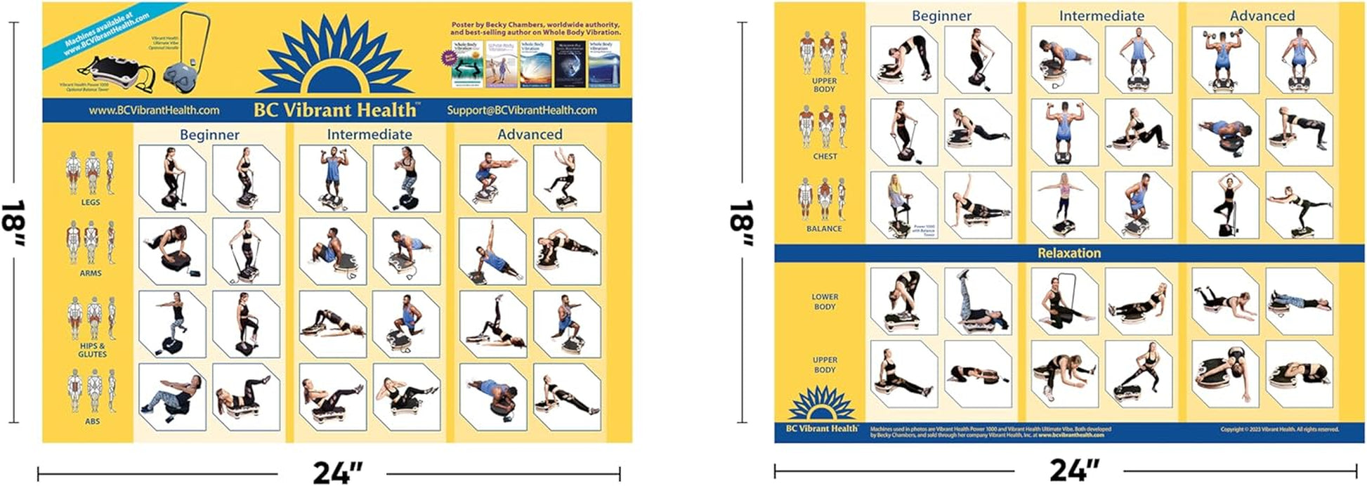 Full Body Vibration Poster Whole Body Vibration Plate Exercise Chart Workout Poster for Vibration Plate Exercise Machine 36"X24"