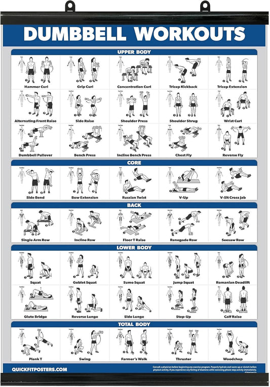 Exercise Poster for Dumbbell Training - Includes Instructions for Bodybuilding - Home Gym Chart - Laminated with Plastic Frame - 18" X 24"