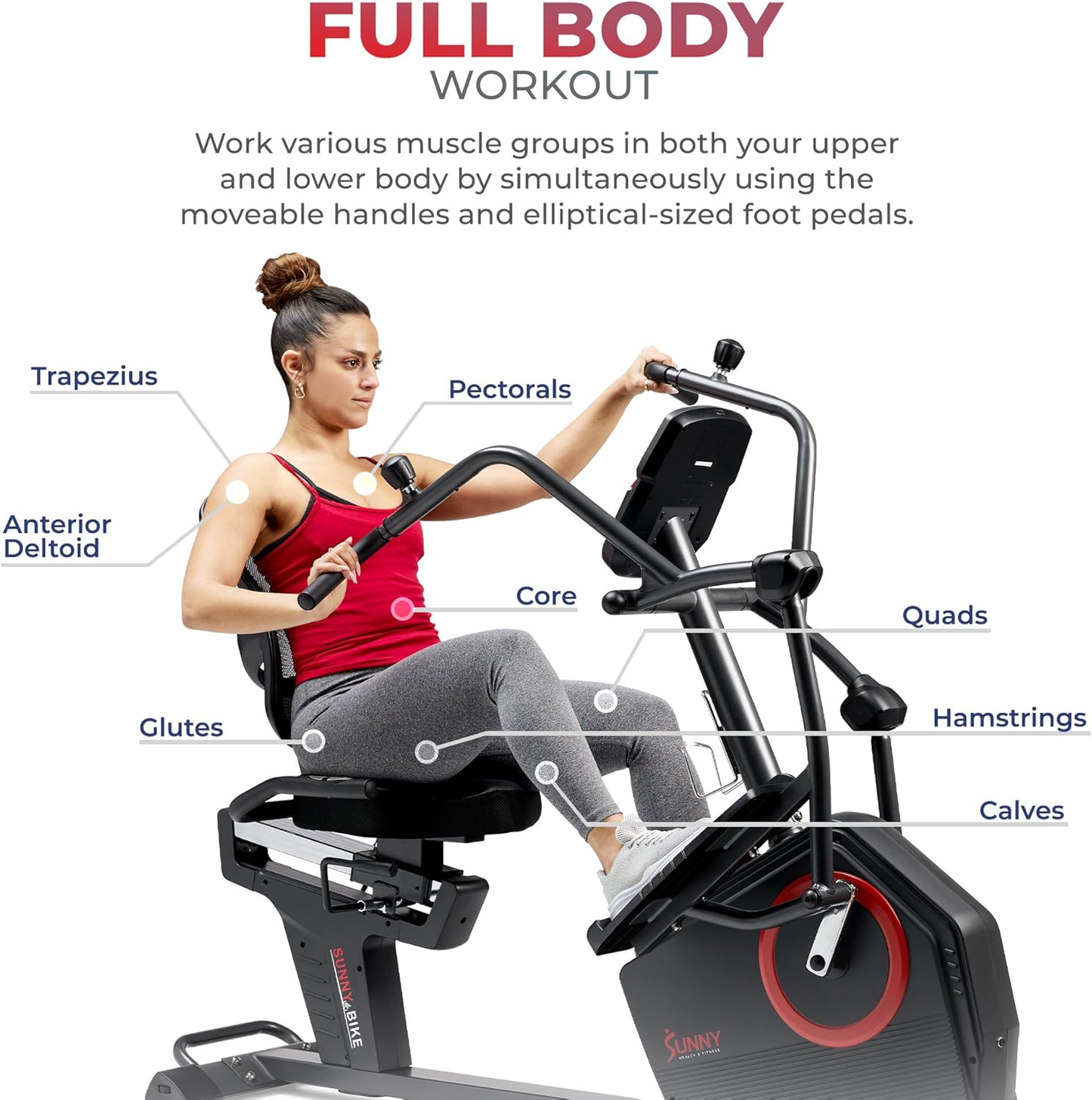 Vitelle Elite Recumbent Cross Trainer & Elliptical